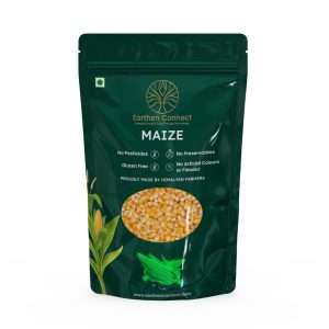 Maize