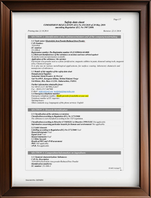 Safety Data Sheet (SDS)