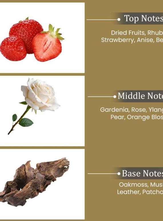 Artboard 3_3_11zon (1)