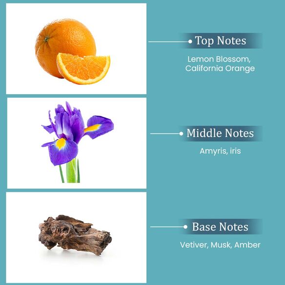 Artboard_3_1_optimized