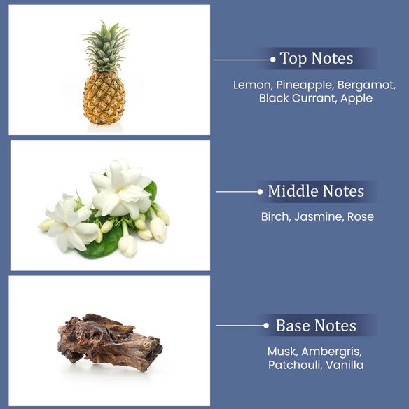 Artboard_3_optimized